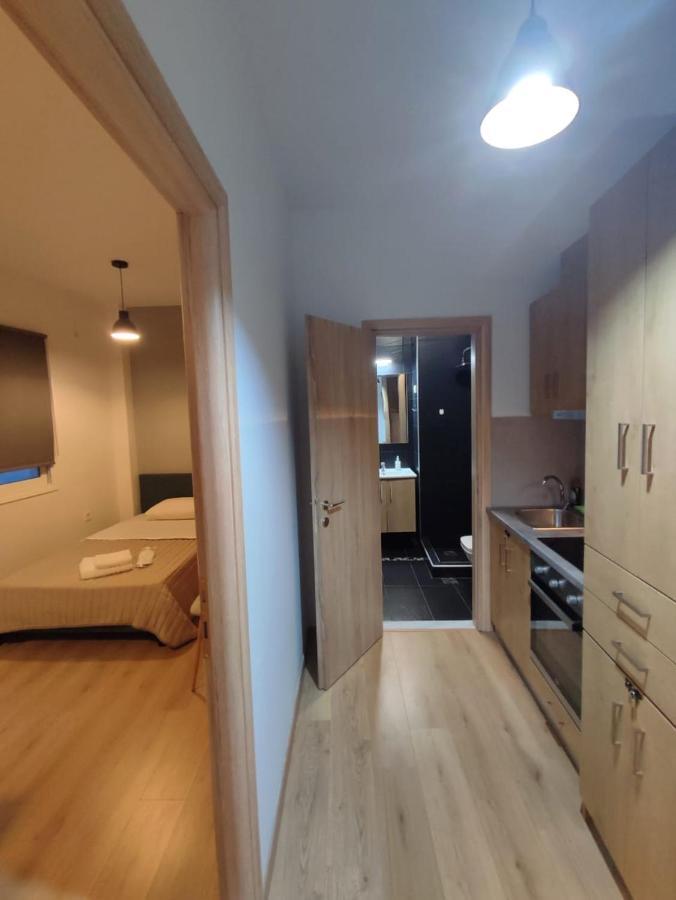Ulysses Apartments Syntagma アテネ エクステリア 写真
